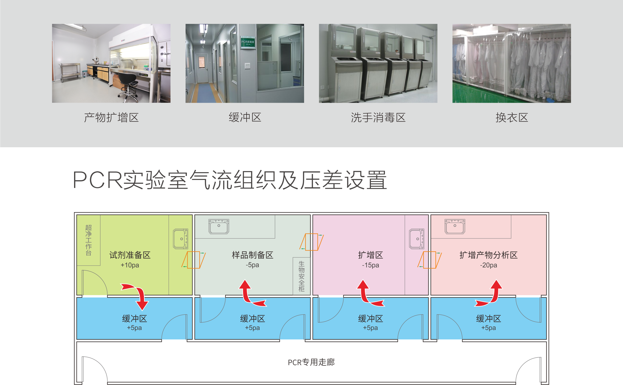 22PCR實驗室.png